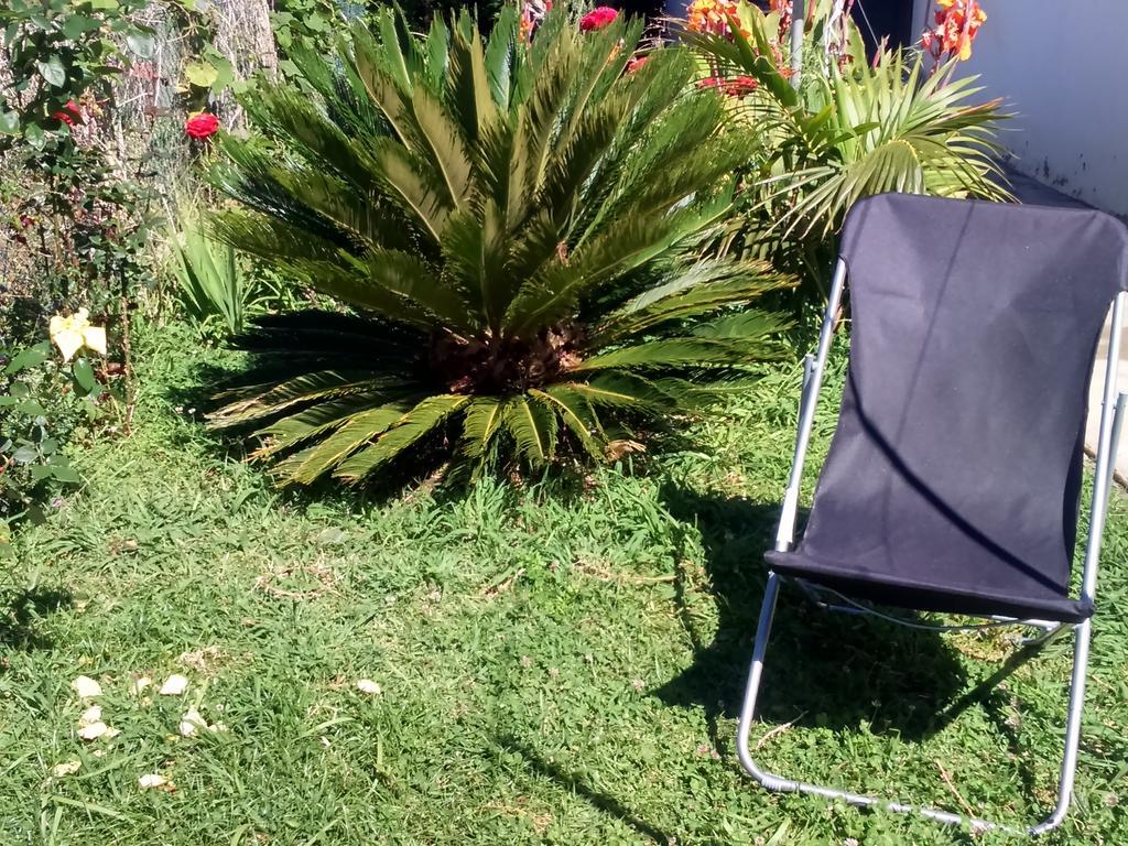 Canto Da Manu Estreito Da Calheta Exteriér fotografie